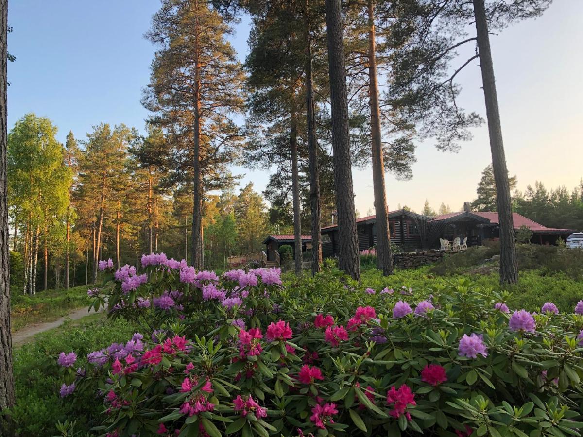 Timber Cottages With Jacuzzi And Sauna Near Lake Vaenern 卡尔斯塔德 外观 照片